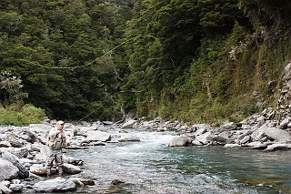 In New Zealand big things can come in surprisingly small packages like this back country mountain stream